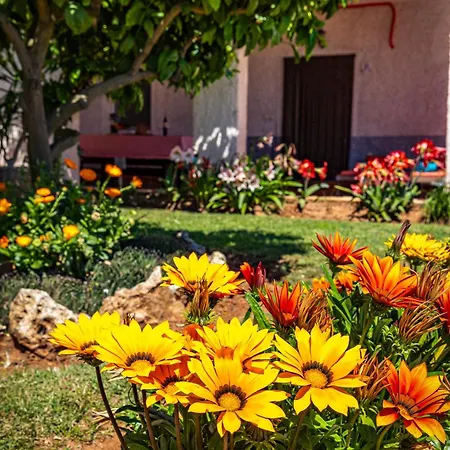 Apartman Pool Franko - Shared Pool Liznjan